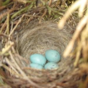 Meet your Posher, Lynn